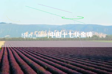 东海中国十七块金牌