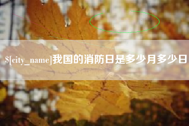 东海我国的消防日是多少月多少日