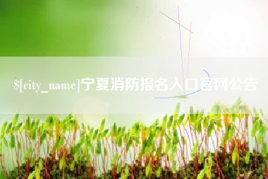 东海宁夏消防报名入口官网公告