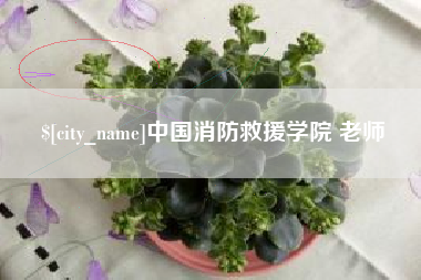 东海中国消防救援学院 老师