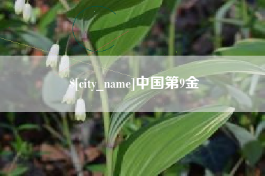 东海中国第9金