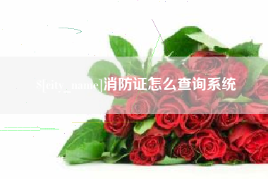 东海消防证怎么查询系统