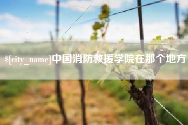 东海中国消防救援学院在那个地方