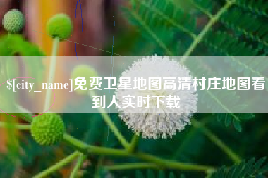 东海免费卫星地图高清村庄地图看到人实时下载