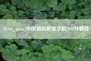 东海中国消防救援学院2018分数线