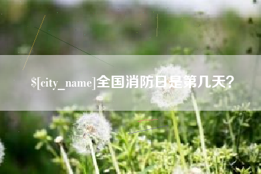 东海全国消防日是第几天？