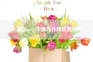 东海中国执行网信息官网