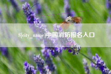 东海中国消防报名入口