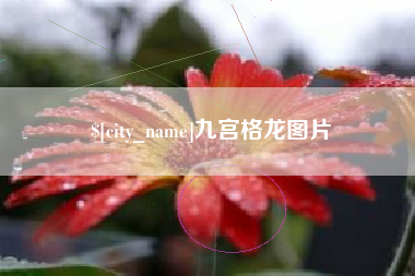 东海九宫格龙图片