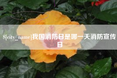 东海我国消防日是哪一天消防宣传日
