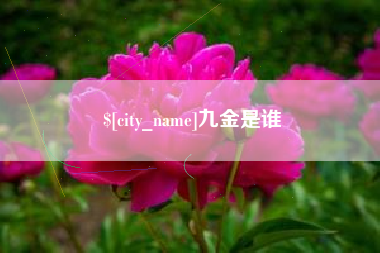 东海九金是谁