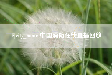 东海中国消防在线直播回放