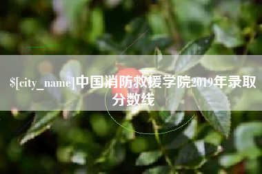 东海中国消防救援学院2019年录取分数线