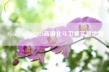 东海2024高清北斗卫星实景地图