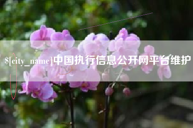 东海中国执行信息公开网平台维护