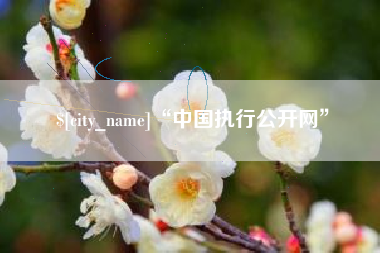 东海“中国执行公开网”