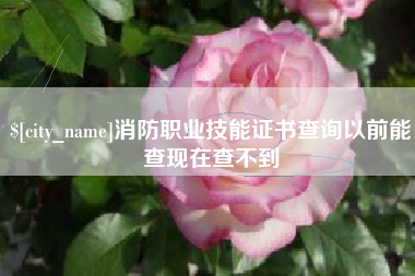 东海消防职业技能证书查询以前能查现在查不到