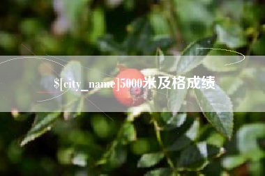东海5000米及格成绩