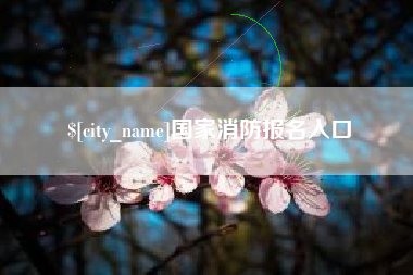 东海国家消防报名入口