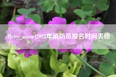 东海2025年消防员报名时间表格