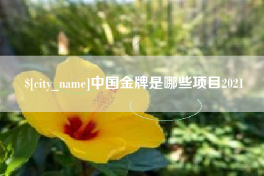 东海中国金牌是哪些项目2021