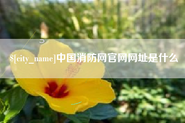 东海中国消防网官网网址是什么