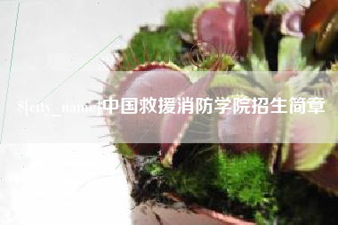 东海中国救援消防学院招生简章