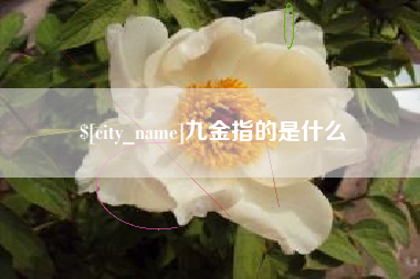 东海九金指的是什么