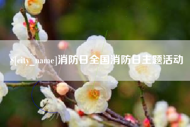 东海消防日全国消防日主题活动