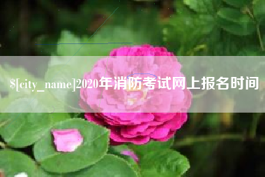 东海2020年消防考试网上报名时间