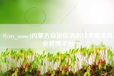 东海内蒙古自治区消防技术服务执业管理平台