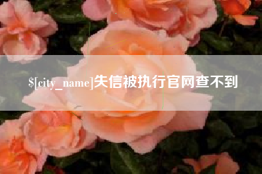 东海失信被执行官网查不到
