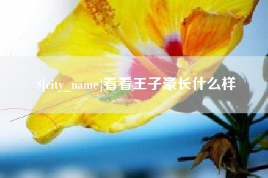 东海看看王子豪长什么样