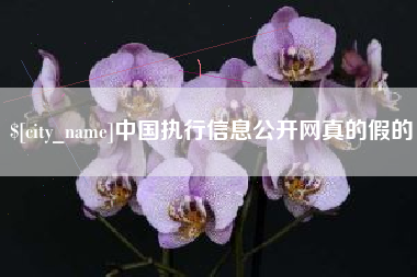东海中国执行信息公开网真的假的