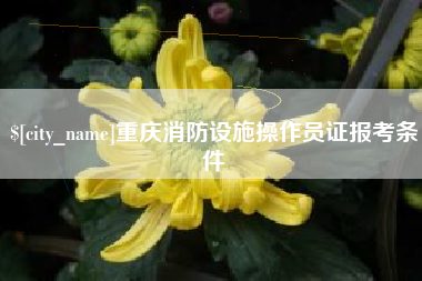 东海重庆消防设施操作员证报考条件