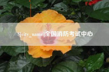 东海全国消防考试中心