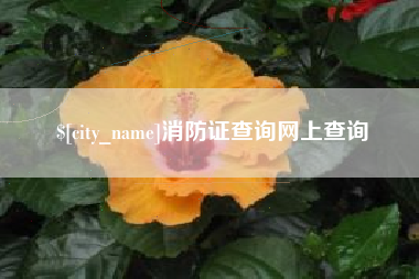 东海消防证查询网上查询