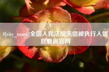 东海全国人民法院失信被执行人信息查询官网
