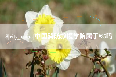 东海中国消防救援学院属于985吗