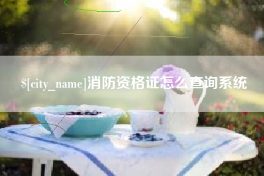 东海消防资格证怎么查询系统