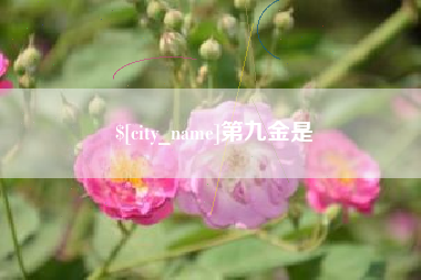 东海第九金是