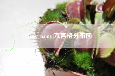 东海九宫格分布图