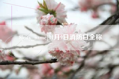 东海11月9日消防日全称