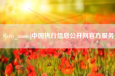 东海中国执行信息公开网官方服务