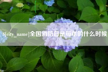 东海全国消防日是每年的什么时候