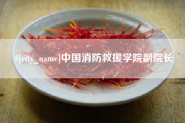 东海中国消防救援学院副院长