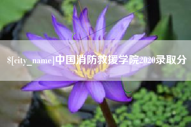 东海中国消防救援学院2020录取分