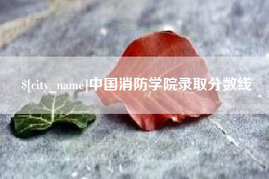 东海中国消防学院录取分数线