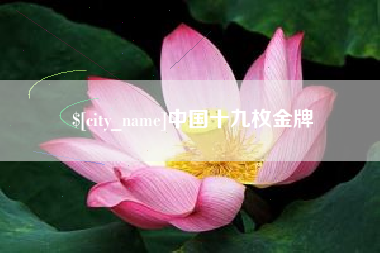 东海中国十九枚金牌