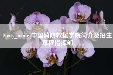 东海中国消防救援学院简介及招生章程指挥部